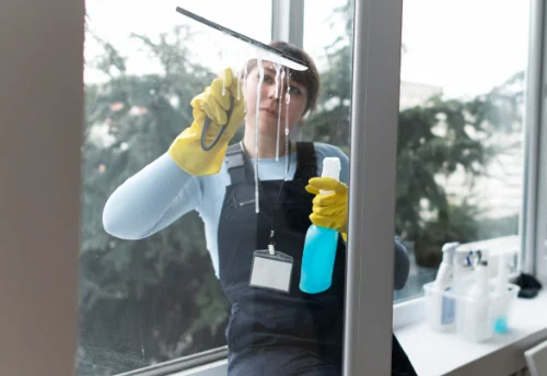 Nettoyage de vitres intérieures et extérieures à Pélussin